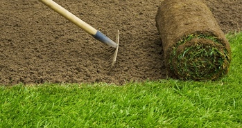 Подготовка почвы под газон